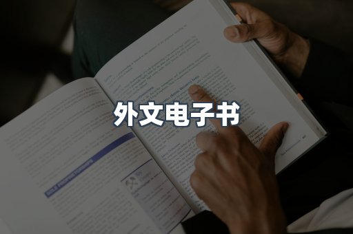 外文电子书